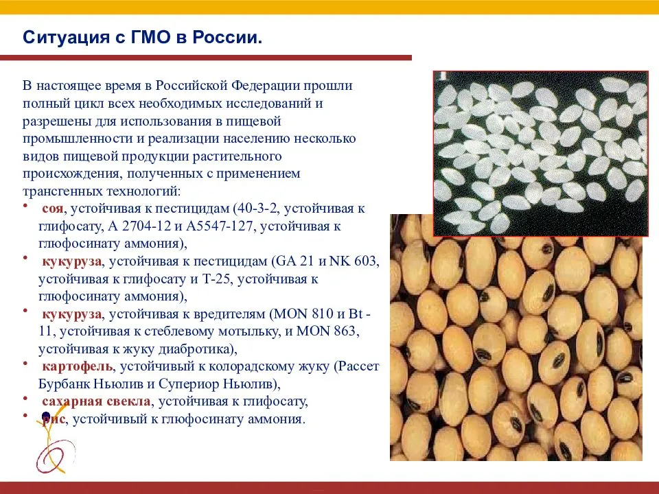 Гмо зияны. ГМО. ГМО продукты. Генетически модифицированные продукты. ГМО растительного происхождения.