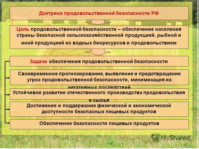 Указ доктрина продовольственной