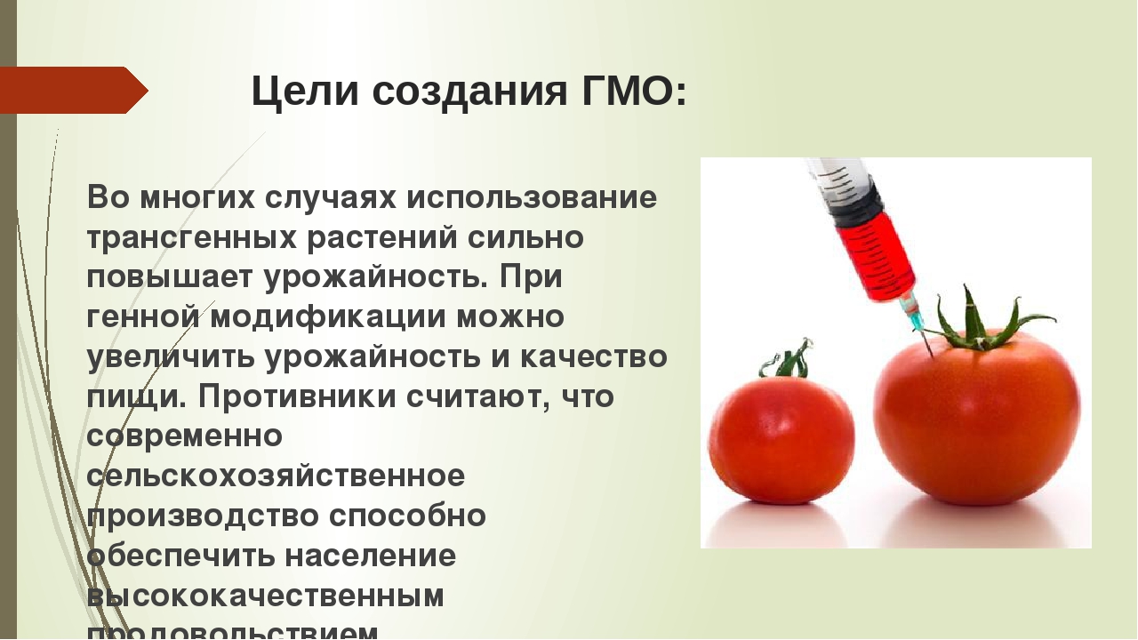 Презентация трансгенные продукты